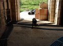 SAM_6230